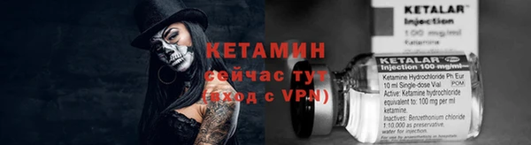 индика Саяногорск
