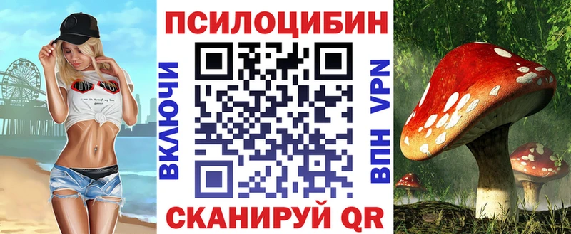 Галлюциногенные грибы Psilocybe  Киржач 