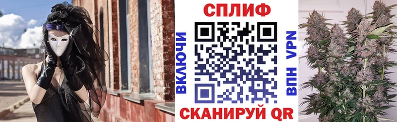 магазин    Киржач  Шишки марихуана марихуана 